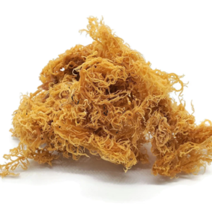 Sea Moss